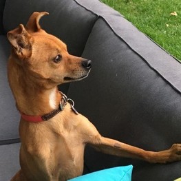 D bd3b3819 05b1 4474 8411 b3086fb8f72a