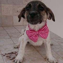 D 1542c492 9e05 473f ac4f 77e84e06f556