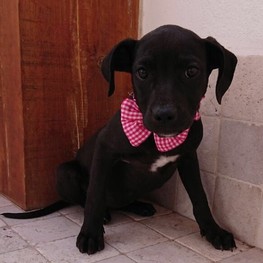 D c6bd28ce e685 4cef a72f c89a8aa7582e