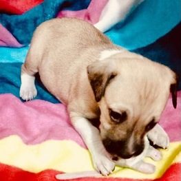 D 29c7a142 6f80 492b 846a 05123541789e