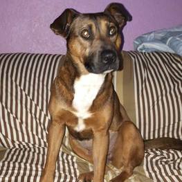 D f0f1f276 0e28 4dae a0eb 1a1fcff30bcb