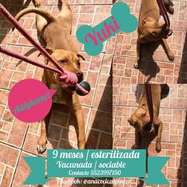 D 5ca3dd2c 7e65 4b97 8c56 ca2aad755202