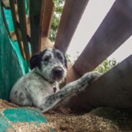 D 1193be67 623a 4f4f 917b 21fb859b6684