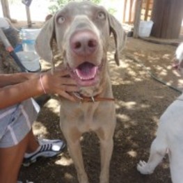 D c8924a9d 59a3 4637 8c6c a0361f7a1aed