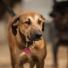 D 7c323ab5 4a7d 46d8 8178 f418901c63fd