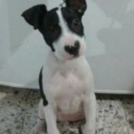 D adb6a3f7 aedb 42e5 b3a0 2e21251fc252