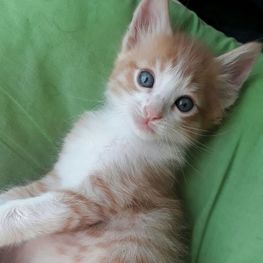 D 42803efb e7ba 482d be80 ed7af7168295