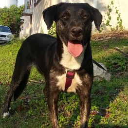 D d5b20437 a0c4 4f59 aa09 1f926e1ad3ec