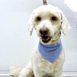 D a33f77e7 2c3e 42bf b457 26dc09d68d08