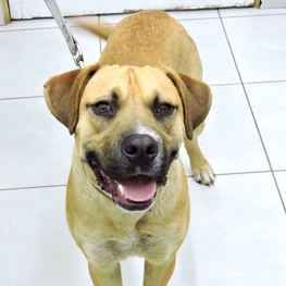 D 901cfad6 b985 4d17 9204 2cbfb717520b