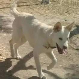 D d33fb7b0 442f 4f3f aee0 2f2b30501f25