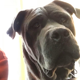 D f385fbe4 984e 4281 8798 403cc1aaacdd