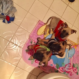 D 95d366c1 5281 4905 8a64 0e8f7ee93a78