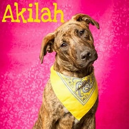 D c414e4a6 8734 4275 9a4d 4d971fa9f8f7