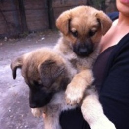 D 0a911cbd c883 47a9 be02 c9fb0335ae22