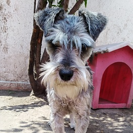 D 1a98884c 5557 4f89 a5ac fda2fa3b2128