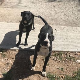 D ba8fdf2d 27d7 43ca b761 42122119f1d0