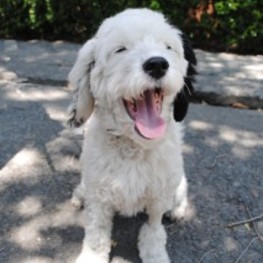 D dabc7e2e 2527 44a9 b2fc cd60e27eb597