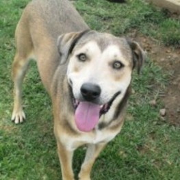 D fb3c2cd0 7a55 4f8e bb5e d9d4a43aea30