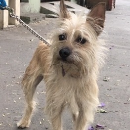 D 1b0361a0 dff8 4181 b737 637e79145759