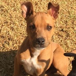 D d1a7e43f 8de8 4ef4 9028 980c9baf52c5