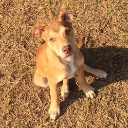 D 967cac16 0458 4d9d 9f86 2d34a2c07a6e