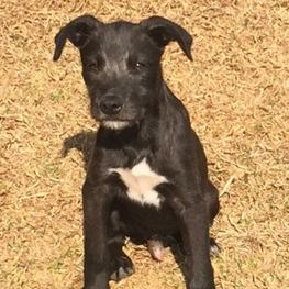 D d176750e 64db 4284 8ddc d34a0a943098