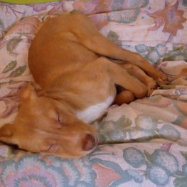 D 5a750920 68b9 465e 803f 1a163b78d781