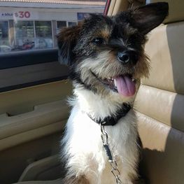 D 9d5d19f1 c561 49da befa f082a2d1f494