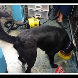 D fbd5d60a c637 4d9a 89d8 0e977b661126