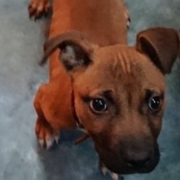 D 05b2b7d9 b3d6 44bb a3dd 9212946bdbcd