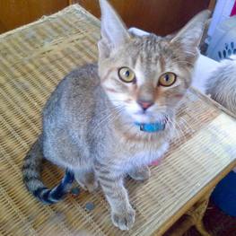 D 5c4bfab2 8d65 4198 8f61 0e85ecac2cf8