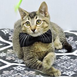 D c6720e2a 4f90 4b29 b015 2cee8a29d405