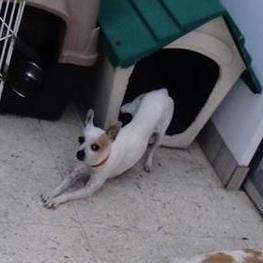 D 7cf1e88a bc25 4564 b93b b5d7b587995f