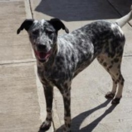 D 2403d0be 351f 41b7 88c5 839bb791c695