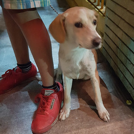 D fffb6f7d dfaa 4ca9 bcac 079203fcc388