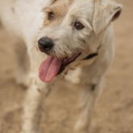 D 50908261 947e 42ed 9ba8 b3b96fd979ec