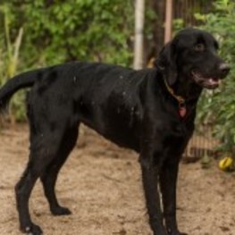 D aa9fdc8c 058c 40bd 86c8 01a50036c627