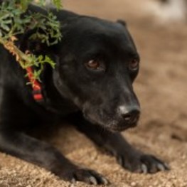 D b354a8f0 2264 4e49 8749 d323323bf53a