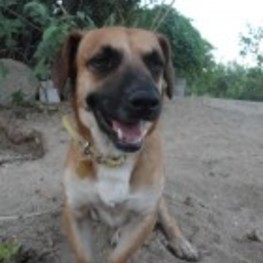 D bcd3c994 0590 427c 88f6 3e8de2f4cb12