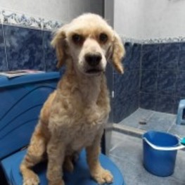 D 02cb5b8e 403c 4068 b91e fa4cc2bfe6bd