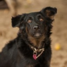 D a67fedcb 52c1 4faf b6e1 0aea6dd7914f