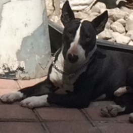 D 1aa3cd96 a1fb 4976 9cf0 6487e6d5fee0