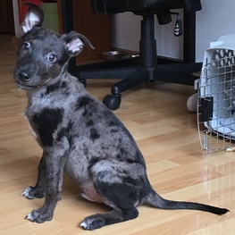 D 10abca2b dddb 4cc4 870c aef5d59877a8