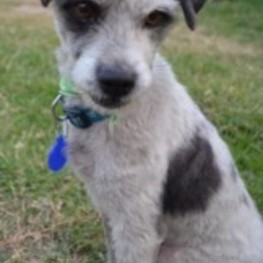 D 28264d98 1a97 4a63 bfbc 689fbcbea3d7