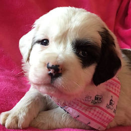 D 05becacd 6419 4ca7 b255 e995a1c72b85