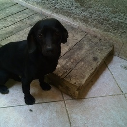 D f6be7425 b665 463d abdf 51c6d05df3b3