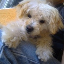 D 0bc994b9 e8a3 4ac0 aa25 3d03caf8c842