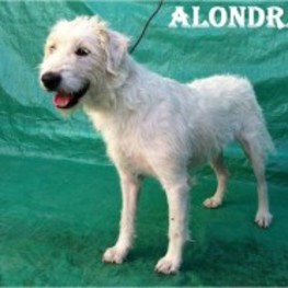 D d4f1546e 75ea 49bf a5a1 06d9f26538c5