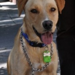 D 1bbdc93e 08aa 431c bfab bebf7aa6de11